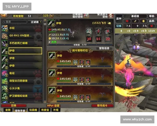 魔兽世界战宠升级攻略